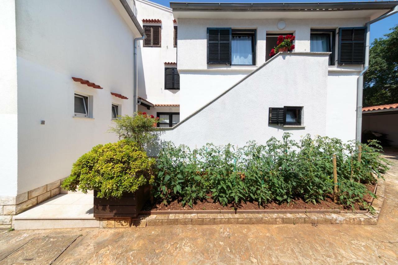 Apartments C52 Ρόβινι Εξωτερικό φωτογραφία